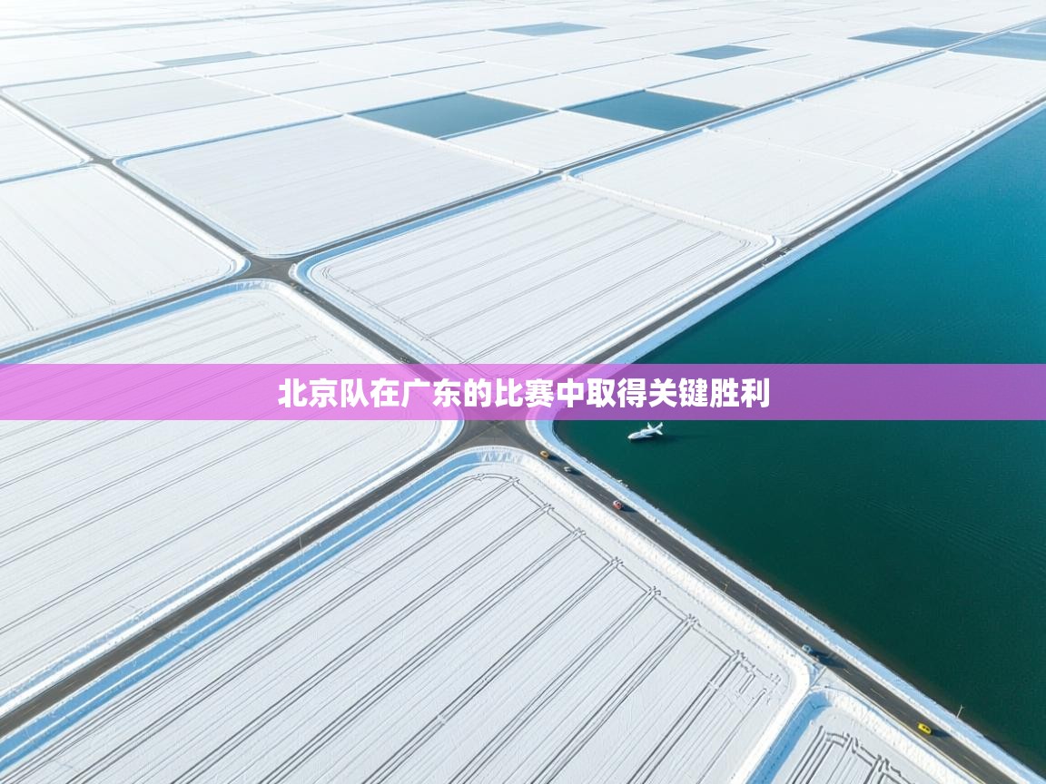 北京队在广东的比赛中取得关键胜利  第1张