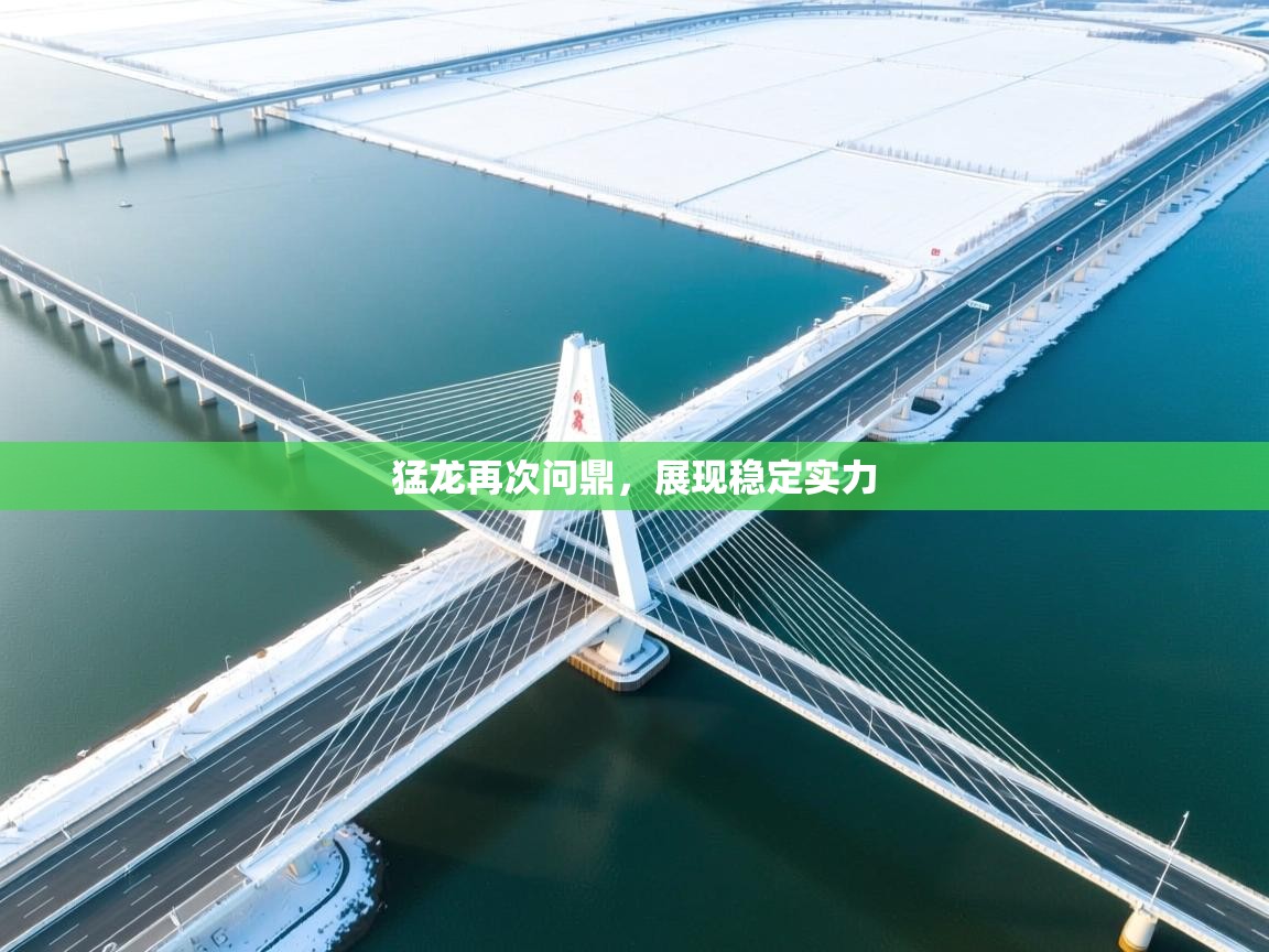 猛龙再次问鼎，展现稳定实力  第1张