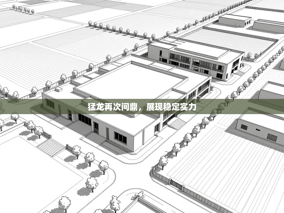 猛龙再次问鼎，展现稳定实力  第2张