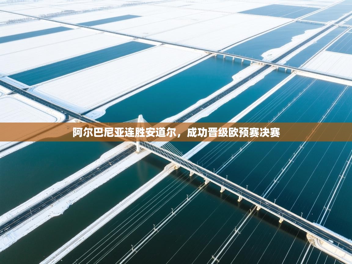 阿尔巴尼亚连胜安道尔,成功晋级欧预赛决赛 第1张