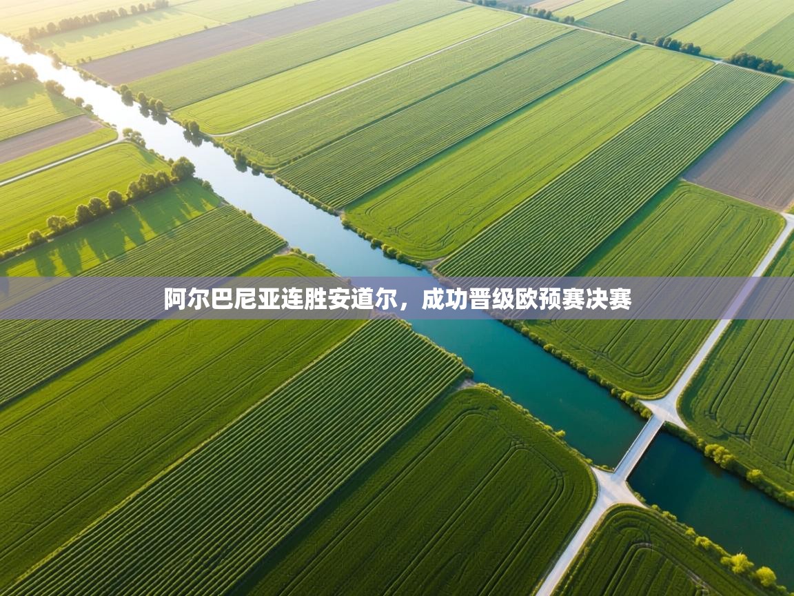 阿尔巴尼亚连胜安道尔,成功晋级欧预赛决赛 第2张